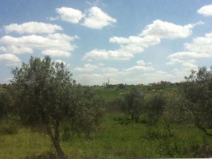נסו לחשוב מחדש על איך שאתם מתייחסים לעבודות הבית!
